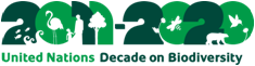 Decade on Biodiversity Logo