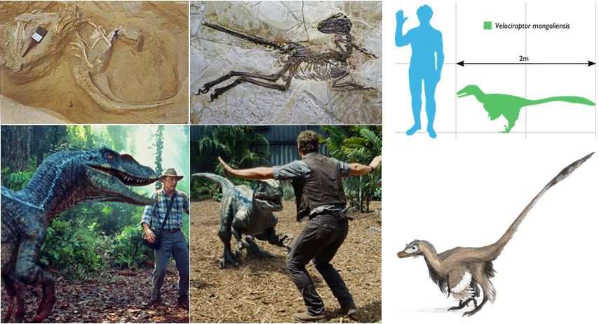 Premiers signes de vie et dinosaures (Entre 550 et 1,8 MA)